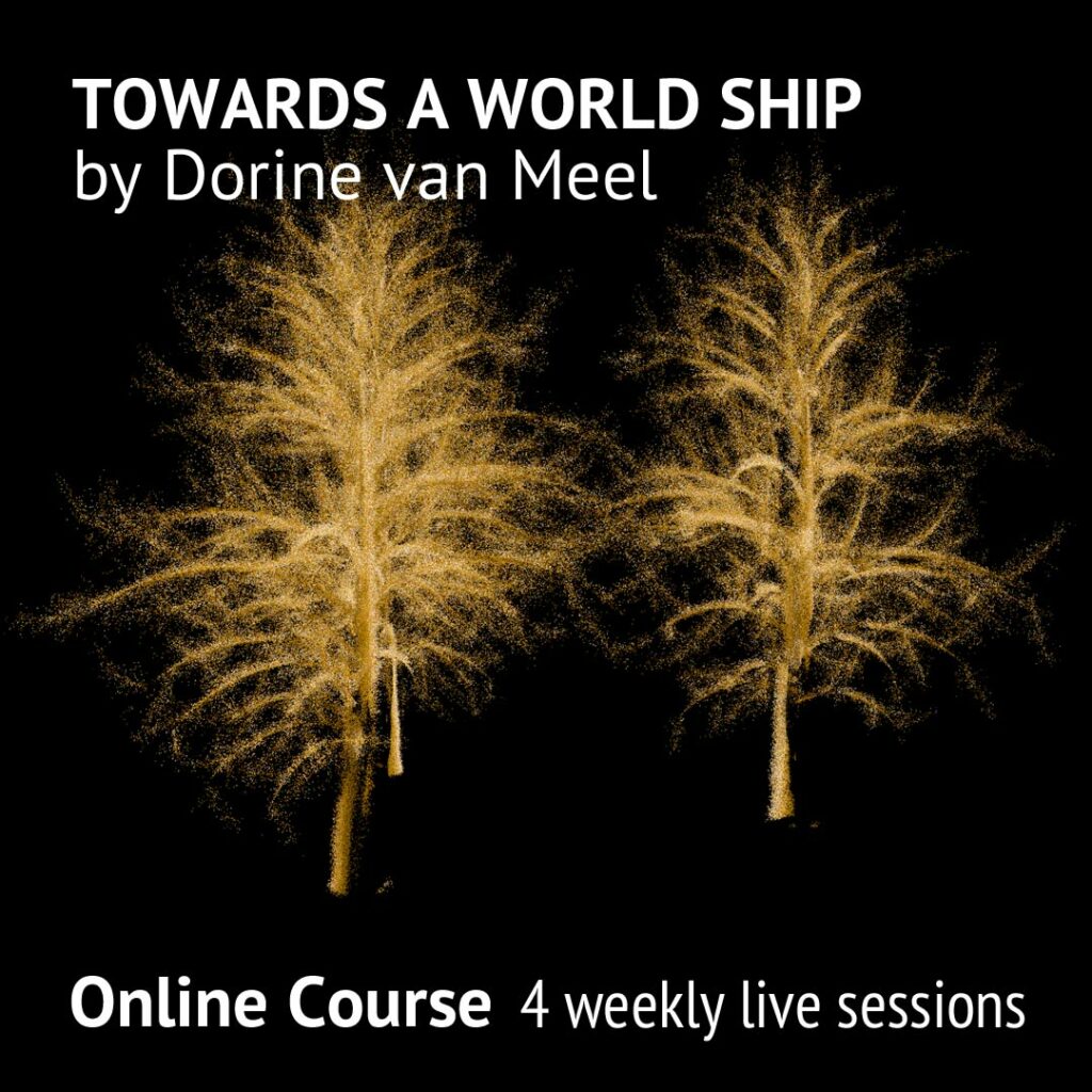 Online Course TOWARDS A WORLD SHIP: Understanding the Ecological Crisis through Arts by Dorine van Meel