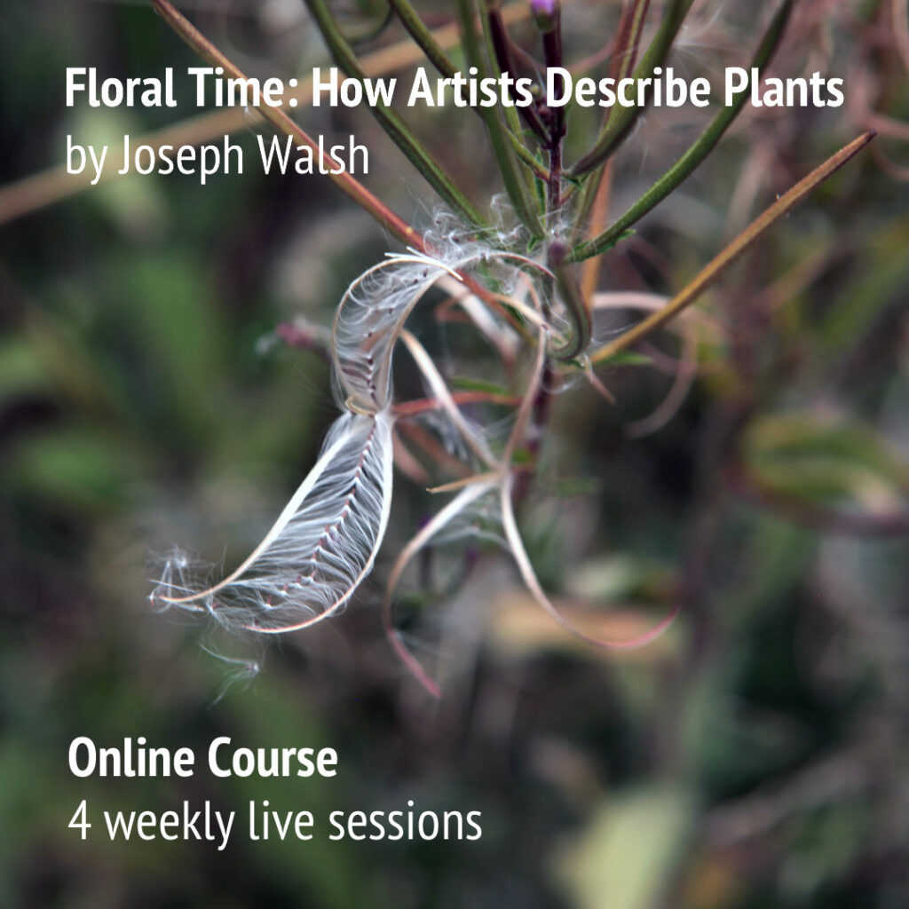 Online Course FLORAL TIME: How Artists Describe Plants by Joseph Walsh