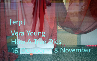 Besuch DIENSTAG BIS SONNTAG von Anne Speier & HOW A TREE DIES von Vera Young bei Efremidis