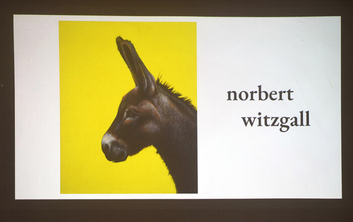 Lecture SHIFTING FRAMES: Painting, Curating, and the Politics of Representation by Norbert Erwin Witzgall