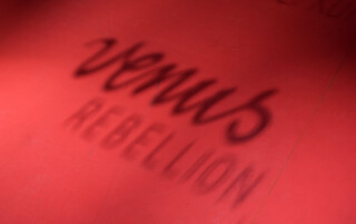 Visit to VENUS REBELLION by Laura Baginski, Fides Becker, Bea Emsbach, Miriam Lenk, Rokudenashiko, Annegret Soltau, and Annika van Vugte at Deutscher Künstlerbund