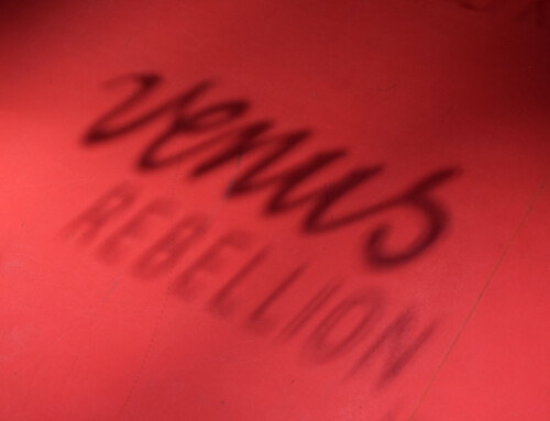 Visit to VENUS REBELLION by Laura Baginski, Fides Becker, Bea Emsbach, Miriam Lenk, Rokudenashiko, Annegret Soltau, and Annika van Vugt at Deutscher Künstlerbund