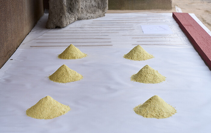 POOR LITTLE THINGS by Kfir Goldenberg at Motorwerk Berlin featured by 404 | BAI