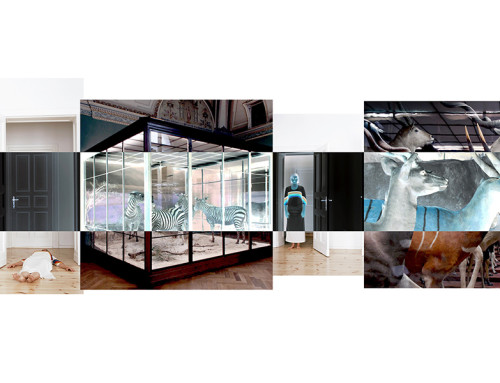 Summer School Course THE THINKING IMAGE: Photography as Visual Language by Christina Dimitriadis